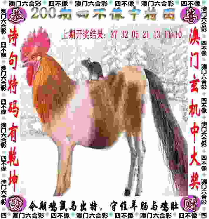 >4949免费资料大全免费