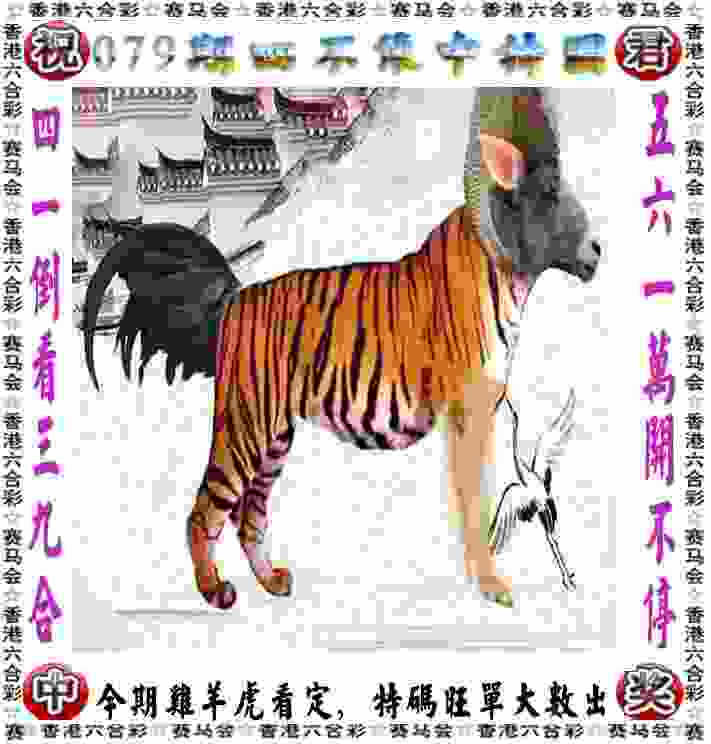 中足联：中超新赛季上座人数提升两成多